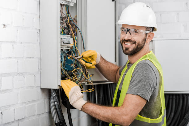 Best Electrical System Inspection  in Paw Paw Lake, MI
