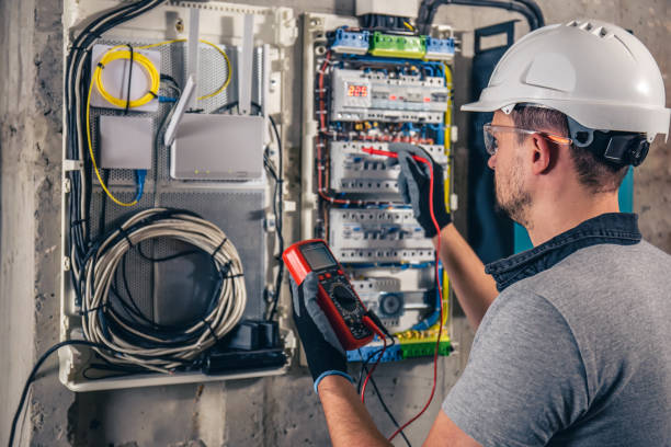Best Electrician for Home Renovation  in Paw Paw Lake, MI