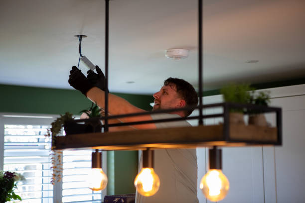 Best Electrical System Inspection  in Paw Paw Lake, MI