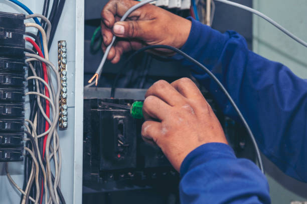 Best Best Electricians Near Me  in Paw Paw Lake, MI