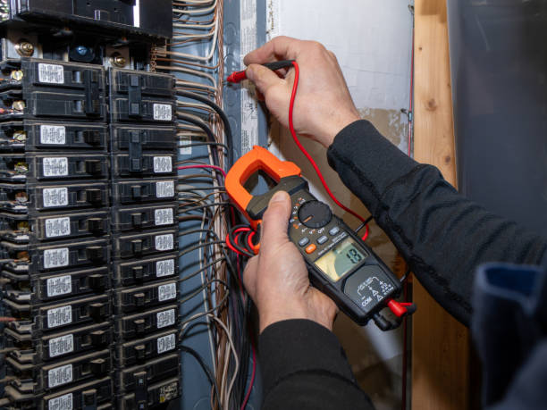 Best Electrical System Inspection  in Paw Paw Lake, MI